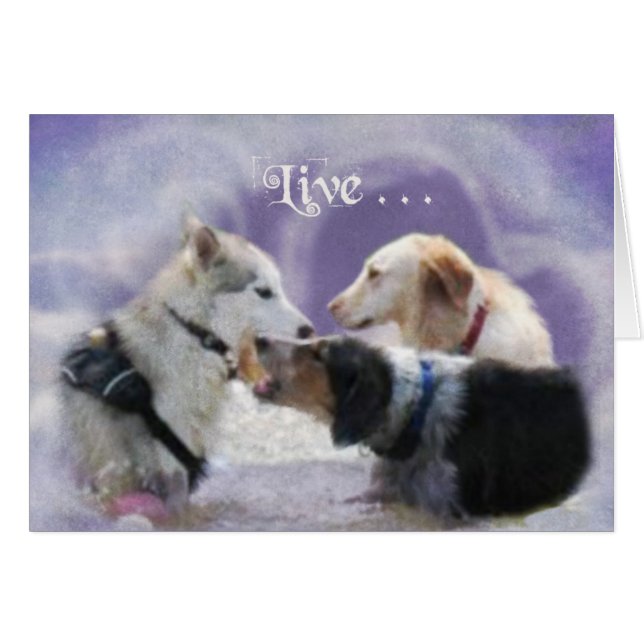 プールパーティ (正面横)