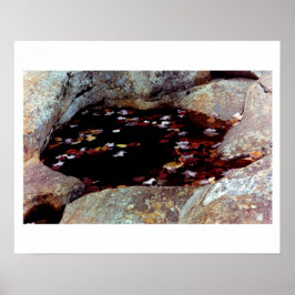 プールポスターの紅葉 ポスター