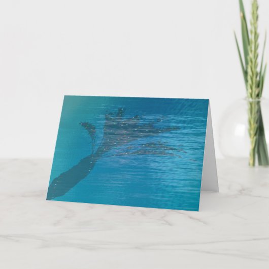 プール内のパームシャドウ シーズンカード (正面)