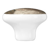 プー大切ル セラミックノブ (側面)