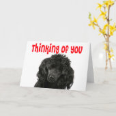 プー考えルの君の恋しく思ころ子犬 カード (黄色い花)