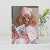 プー読ドルの日 招待状 (スタンド正面)