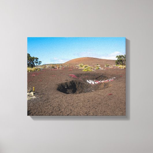 プー・プア・イ・シンダー・コーン・バイロン・レッジ・トレイル沿い キャンバスプリント (正面)