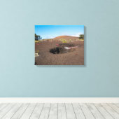 プー・プア・イ・シンダー・コーン・バイロン・レッジ・トレイル沿い キャンバスプリント (インサイチュ (ウッドフロア))