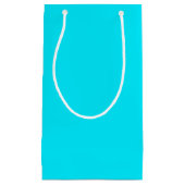 プ無地のレーンブルー スモールペーパーバッグ (正面)