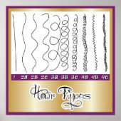 ヘアの種類1 ポスター (正面)