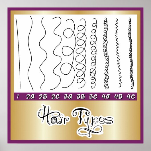 ヘアの種類1 ポスター (正面)