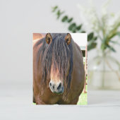 ヘアカットが必要 ポストカード (スタンド正面)