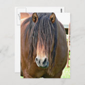 ヘアカットが必要 ポストカード (正面/裏面)