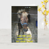 ヘアデレマ付きポニー=誕生日カード カード (黄色い花)