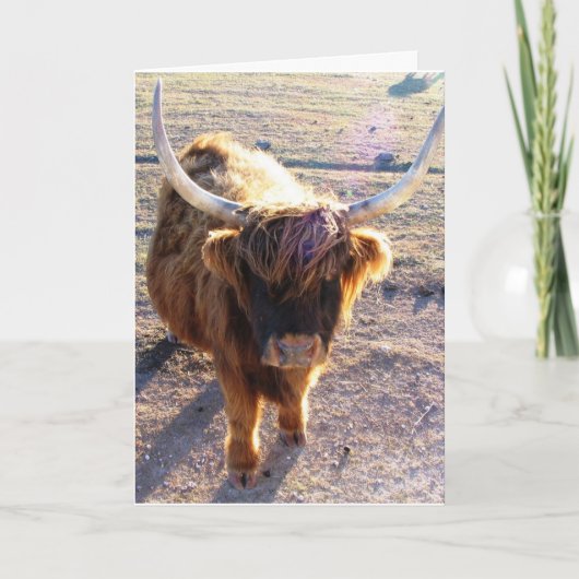 ヘアデーって言った? カード (正面)