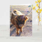 ヘアデーって言った? カード (黄色い花)