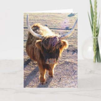 ヘアデーって言った？ カード