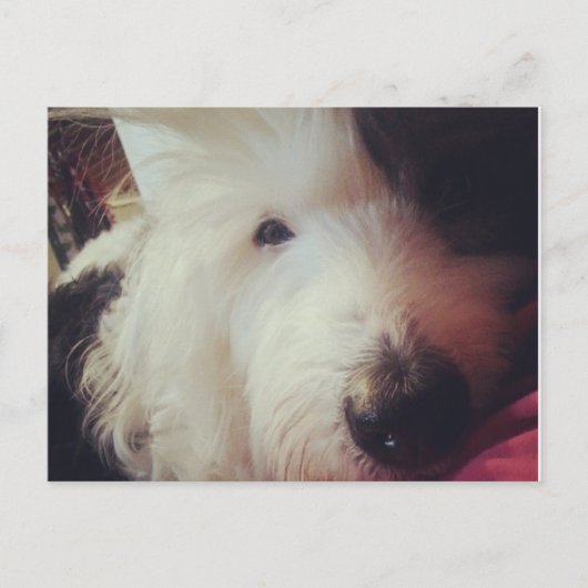 ヘアデー! ポストカード (正面)