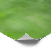 ヘアレスチンパンジー接写 ポスター (角)