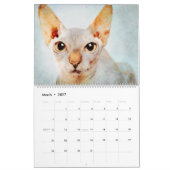 ヘアレス・スフィンクス猫水彩画 カレンダー (3月 2027)