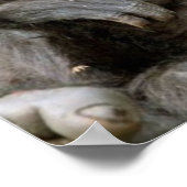 ヘア熱狂するモンキーあまりにも多くのコーヒーポスター ポスター (角)