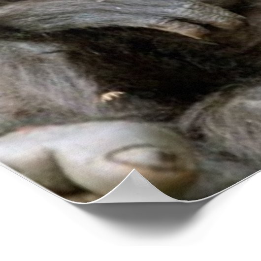 ヘア熱狂するモンキーあまりにも多くのコーヒーポスター ポスター (角)