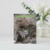 ヘア熱狂するモンキーあまりにも多くのコーヒー葉書 ポストカード (スタンド正面)