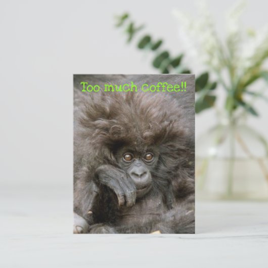 ヘア熱狂するモンキーあまりにも多くのコーヒー葉書 ポストカード (スタンド正面)