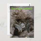 ヘア熱狂するモンキーあまりにも多くのコーヒー葉書 ポストカード (正面/裏面)