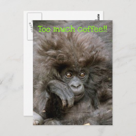 ヘア熱狂するモンキーあまりにも多くのコーヒー葉書 ポストカード (正面/裏面)
