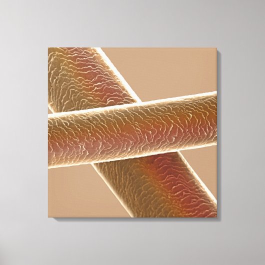 ヘア キャンバスプリント (正面)