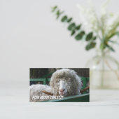 ヘイおもしろいスファンシートリスト 名刺 (スタンド正面)