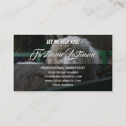 ヘイおもしろいスファンシートリスト 名刺 (裏面)