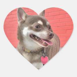 ヘイにハートのシールが！ ハートシール