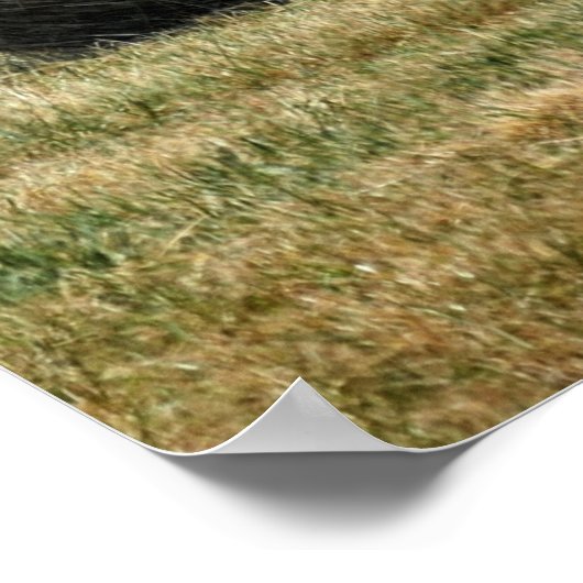 ヘイの俵 ポスター (角)