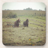 ヘイイング時間 コースター (正面)