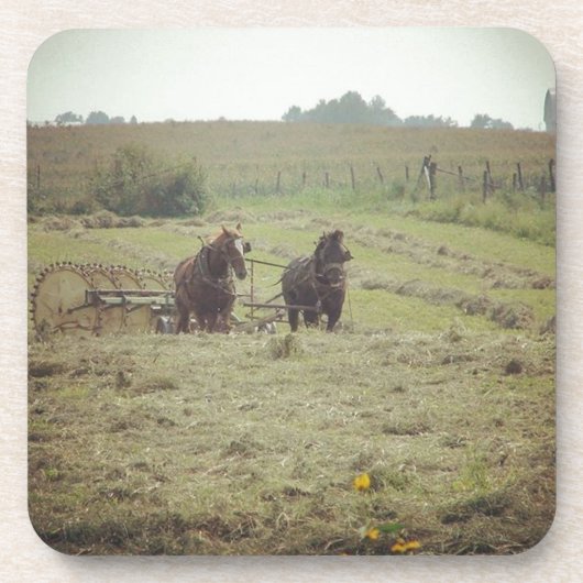 ヘイイング時間 コースター (正面)