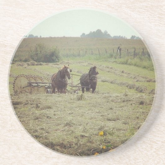 ヘイイング時間 コースター (正面)