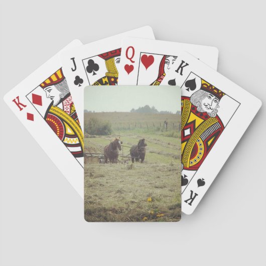 ヘイイング時間 トランプ (裏面)