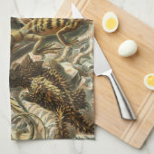 ヘイケル キッチンタオル (四つ折り)