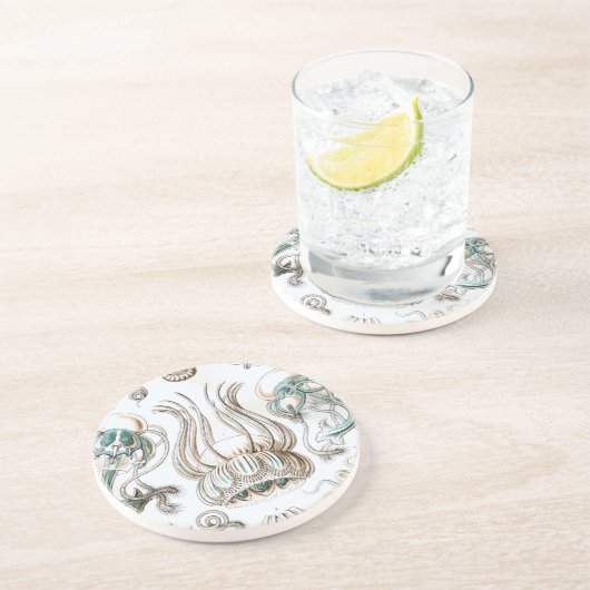 ヘイケル コースター (側面)