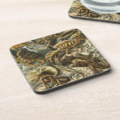 ヘイケル コースター (左側)