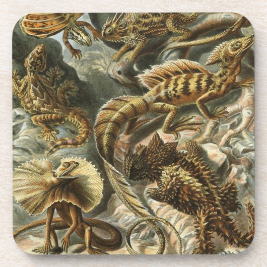 ヘイケル コースター (正面)