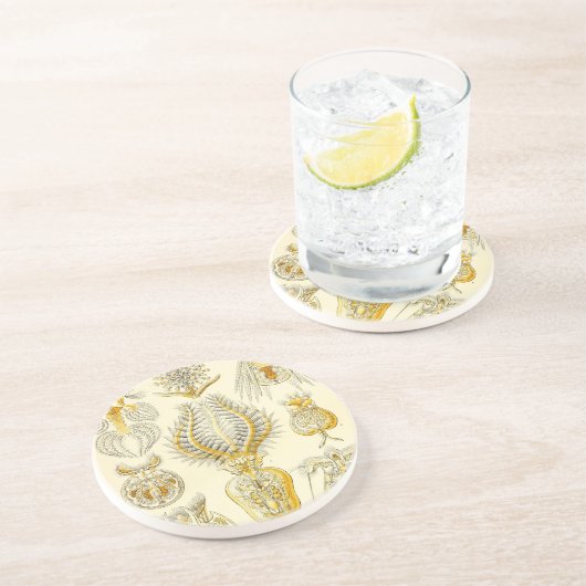 ヘイケル コースター (側面)