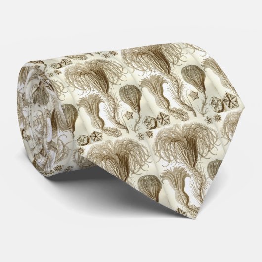 ヘイケル ネクタイ (ロール)