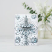 ヘイケル ポストカード (スタンド正面)