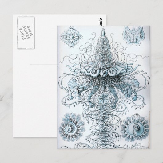 ヘイケル ポストカード (正面/裏面)