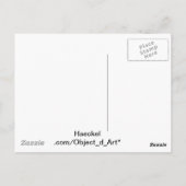 ヘイケル ポストカード (裏面)