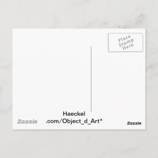 ヘイケル ポストカード (裏面)