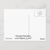 ヘイケル ポストカード (裏面)