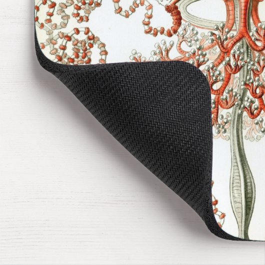 ヘイケル マウスパッド (コーナー)