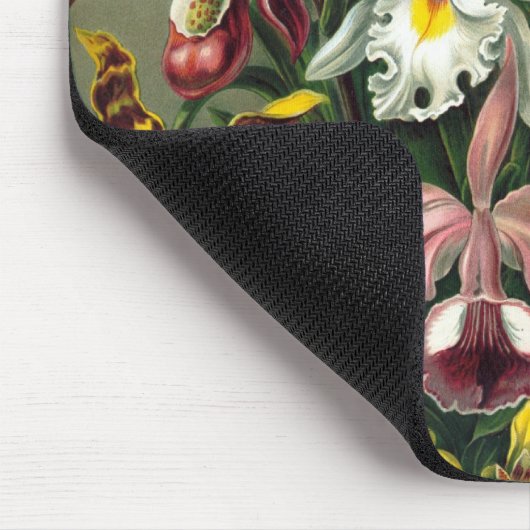 ヘイケル マウスパッド (コーナー)