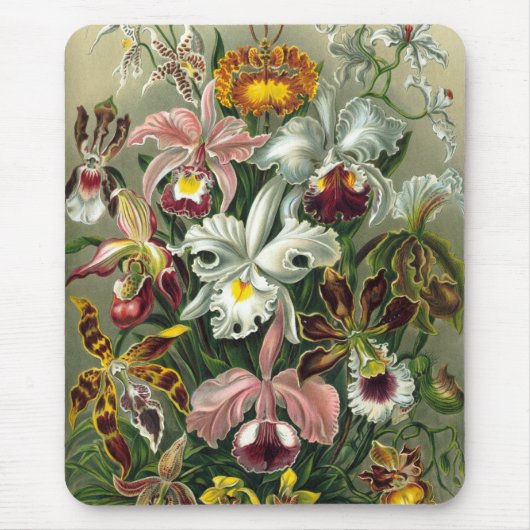 ヘイケル マウスパッド (正面)