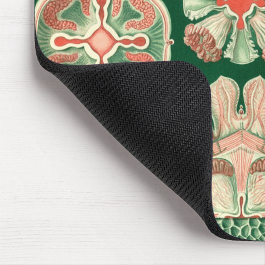 ヘイケル マウスパッド (コーナー)